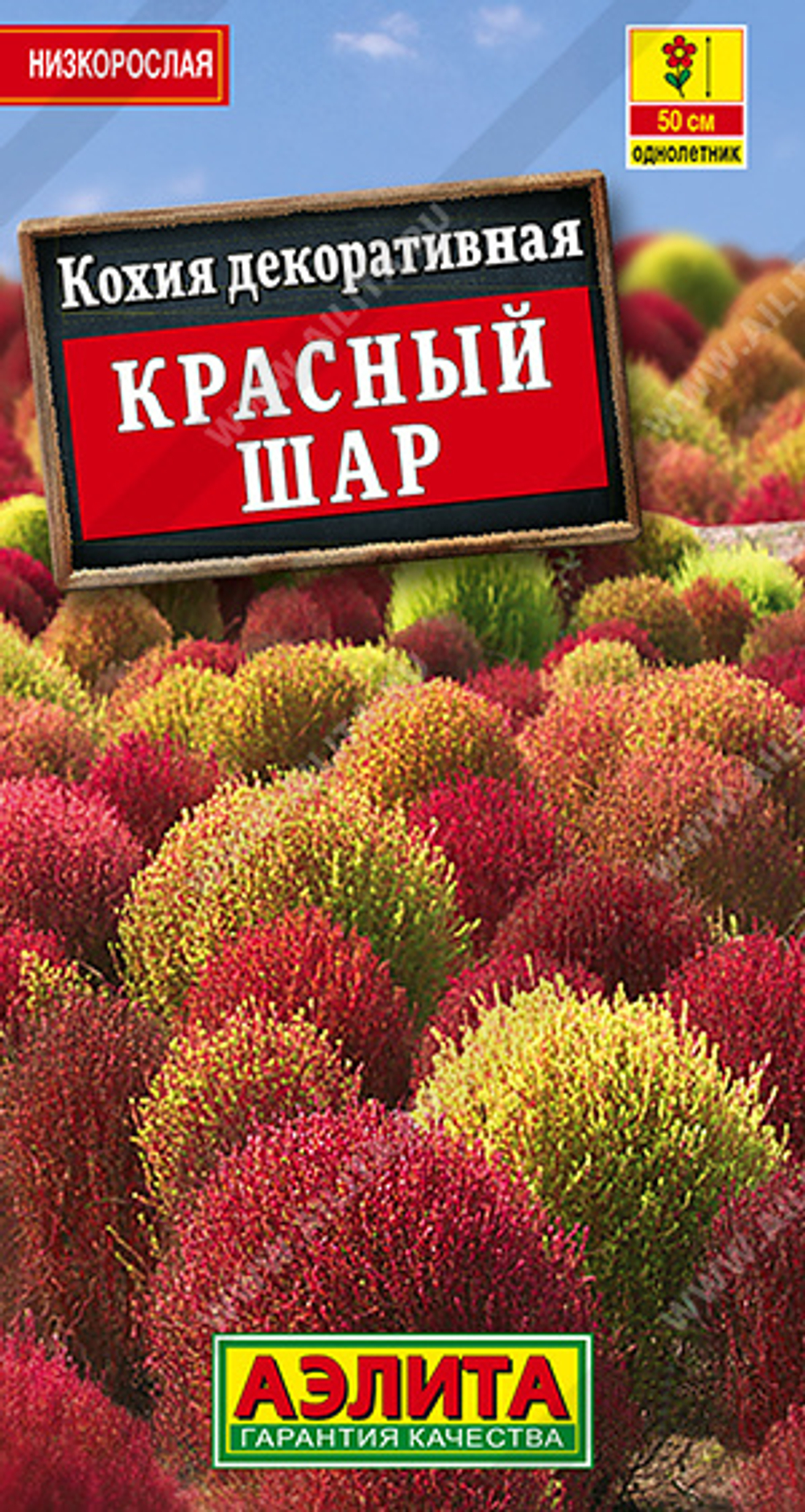Кохия Красный шар 0,1гр Аэлита