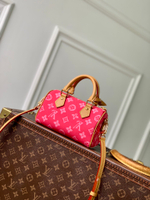 Louis Vuitton Nano Speedy