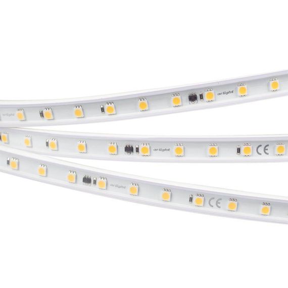 Светодиодная лента Arlight 8W/m 54LED/m 5060SMD холодный белый 50M 027055