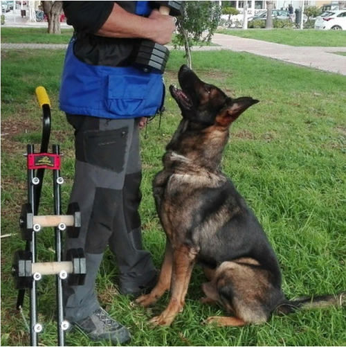 Стенд для апортировочных гантелей и инвентаря "KEEP ORDER" TE400