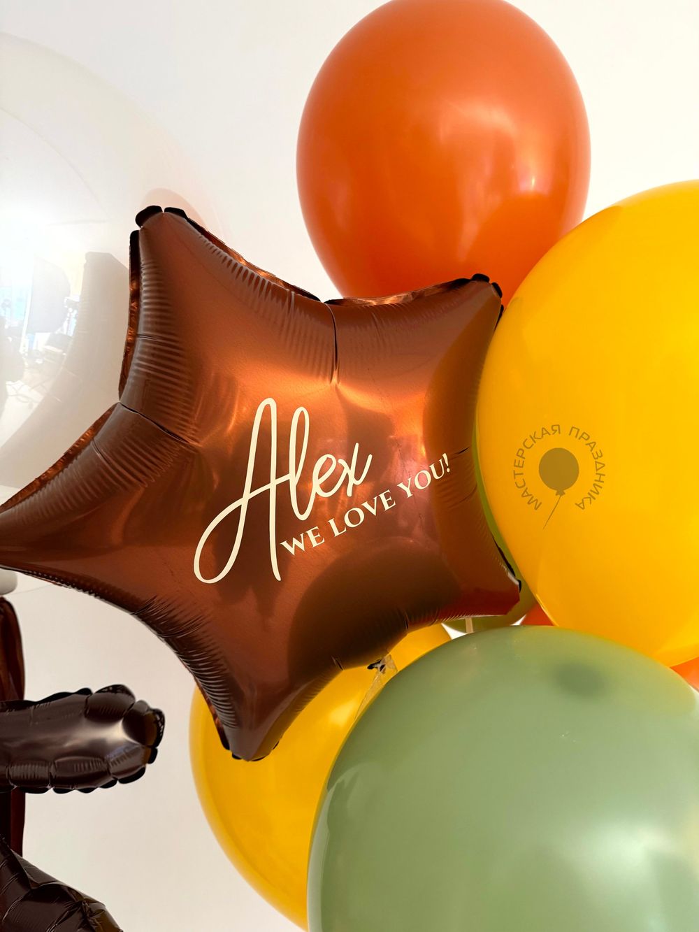 Воздушные шары Такса №8916  Изображение4