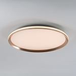 Потолочный светодиодный cветильник LED4U L3020-500 GD