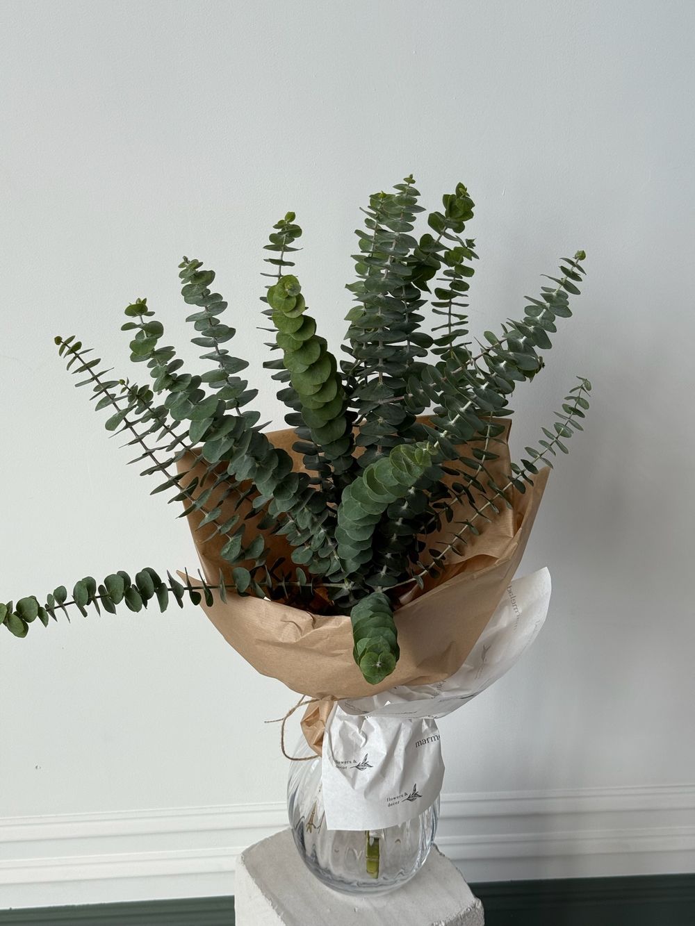 Эвкалипт в оформлении размер M