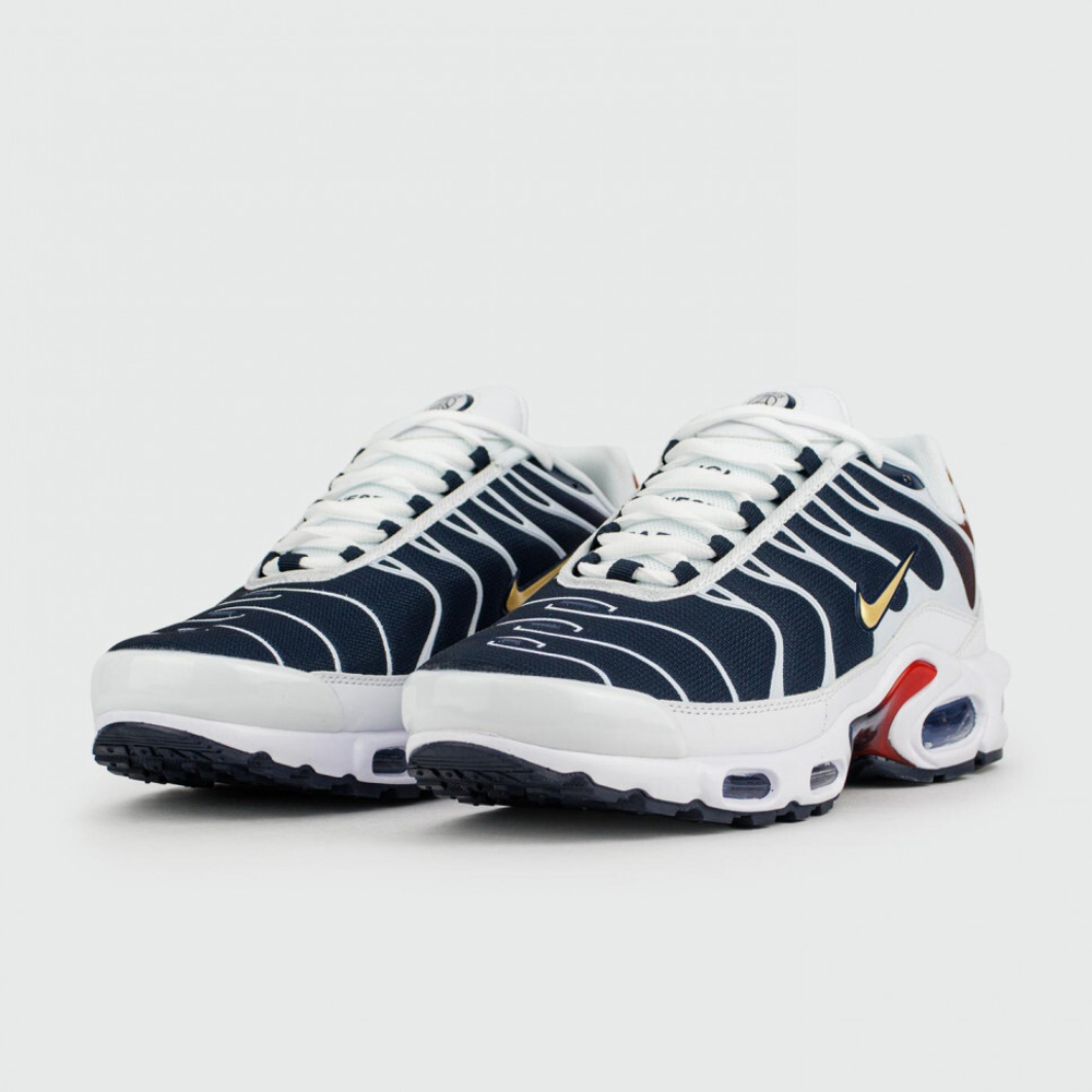 кроссовки Nike Air Max Plus Tn x PSG
