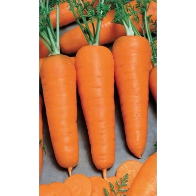 Семена Морковь Корейская Закуска (УД) 2гр Е/П