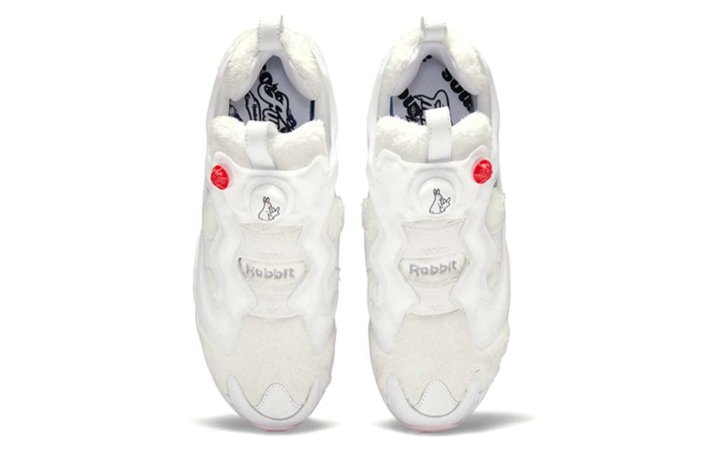 Reebok Atmos X Fr2 X Reebok Instapump Fury Pure