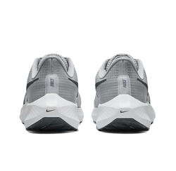 Мужские кроссовки Nike Air Zoom Pegasus 39 DH4071-005