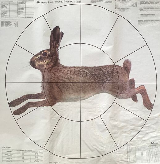 Мишень Заяц 16-дольная для пристрелки дробовых ружей, с таблицами и пояснениями, 80х80 см. Пачка 10 штук