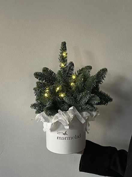 Коробка из нобилиса