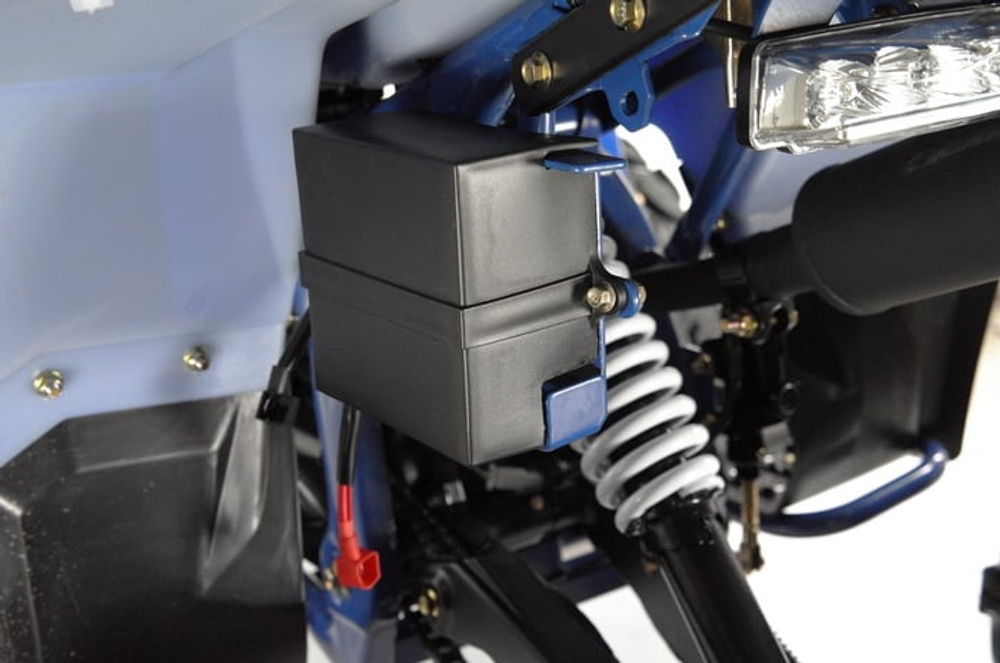 Квадроцикл WELS Thunder EVO