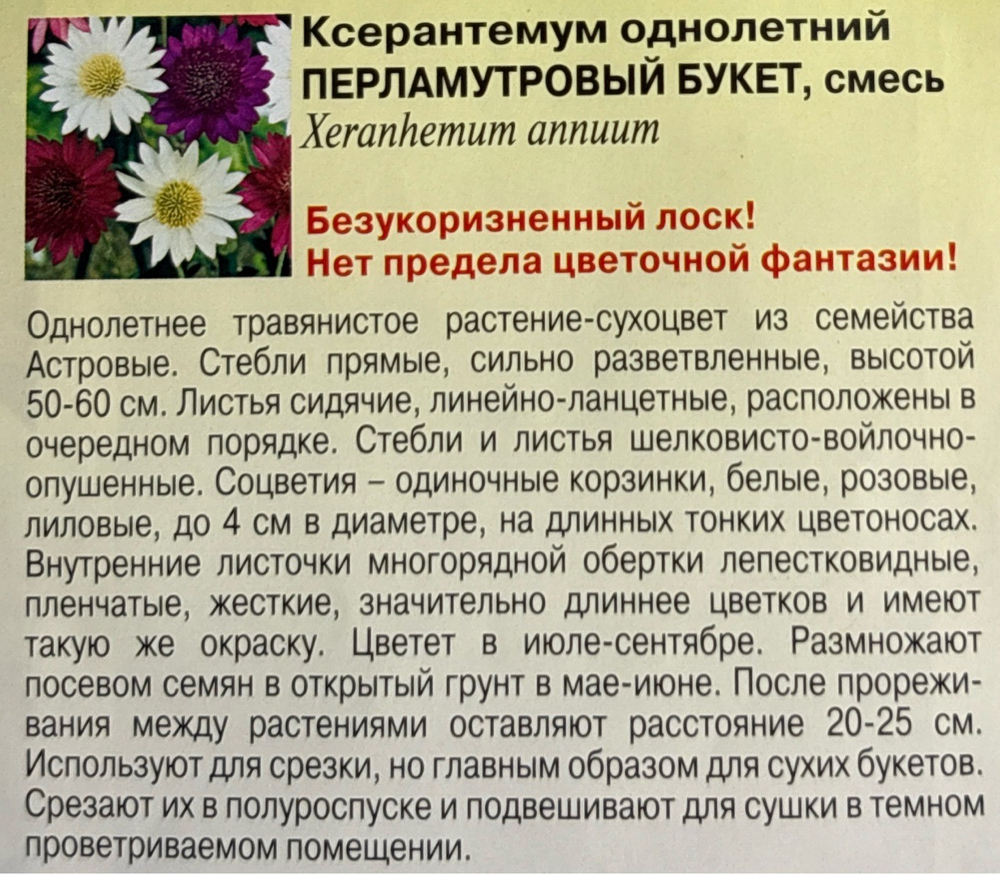 Ксерантемум Перламутровый букет 0,05 г СМЦ-564