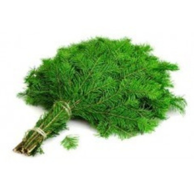 Веник пихта