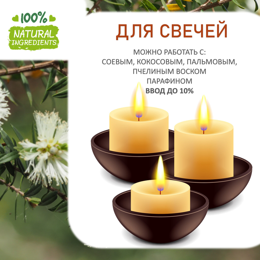 Чайное дерево, отдушка для свечей и мыла