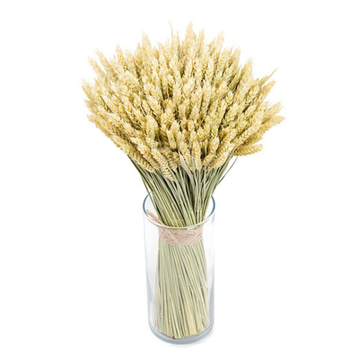 Букет сухоцветов Пшеницы 45х25 см