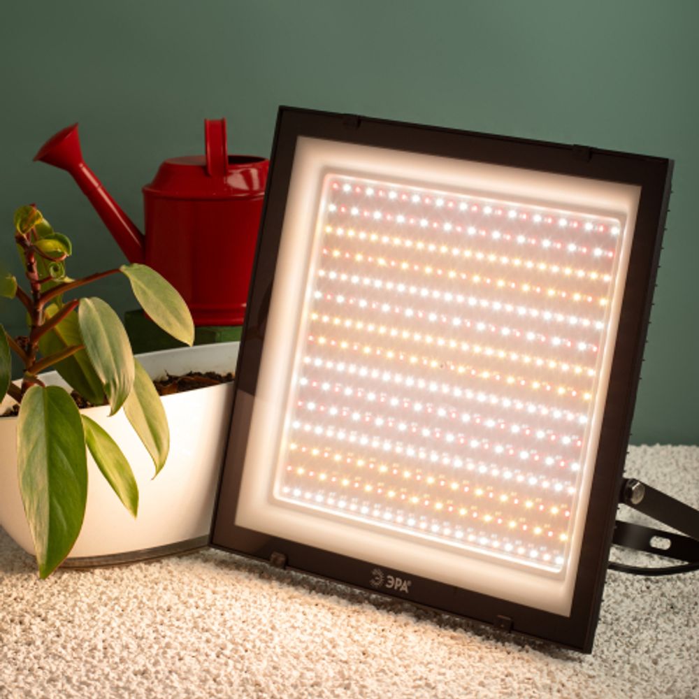Фитопрожектор для растений светодиодный ЭРА FITO-200W-Ra90-LED полного спектра, профессиональный 200 Вт | Фито прожекторы