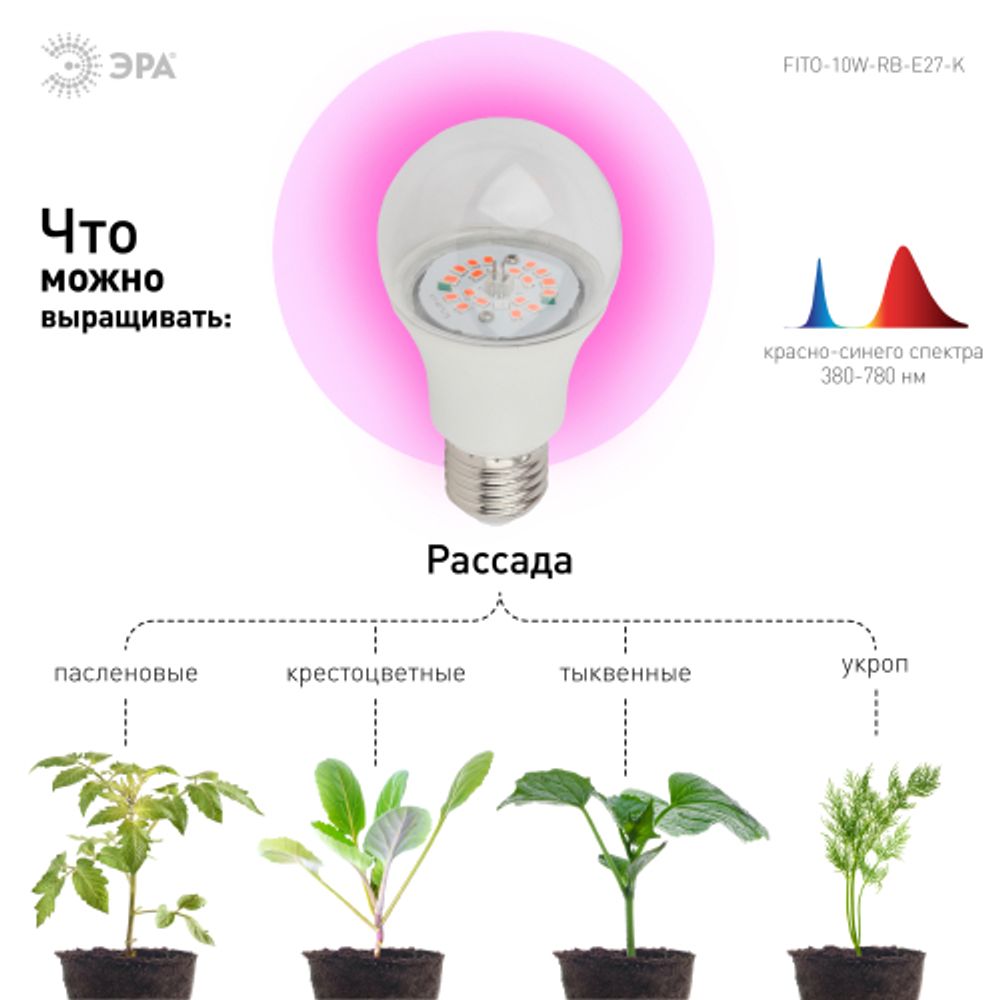 Фитолампа для растений светодиодная ЭРА FITO-10W-RB-E27-K красно-синего спектра 10 Вт Е27 | Фитолампы Е27