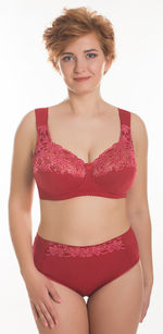 1104/C  бюстгальтер "Брусничный"