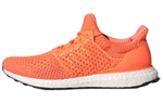 Кроссовки Adidas Ultraboost Clima Dna
