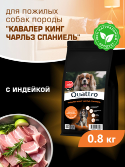 Корм сухой для пожилых собак породы Кавалер кинг Чарльз спаниель старше 7 лет, с индейкой, 800 гр, QUATTRO