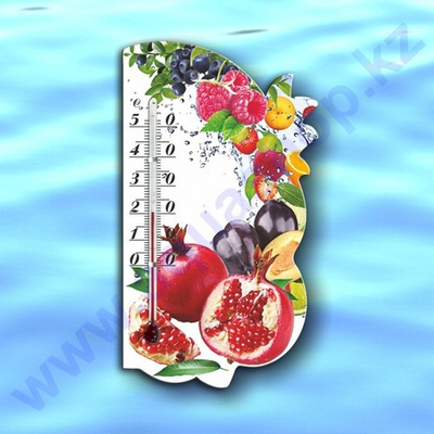 Термометр "ФРУКТЫ" на магните