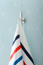 Сунержа Аскет 1650