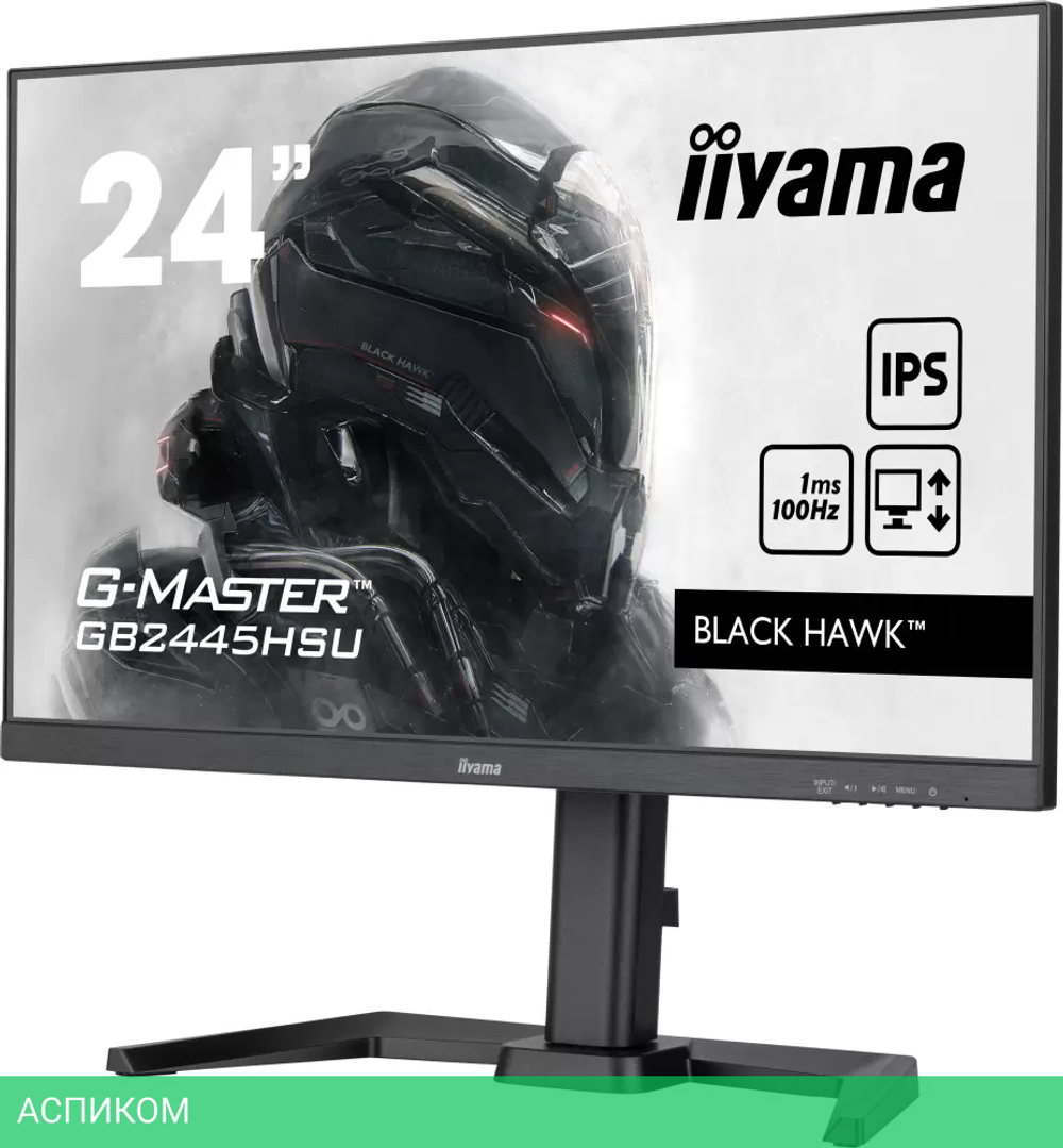 Монитор Iiyama G-Master GB2445HSU-B1