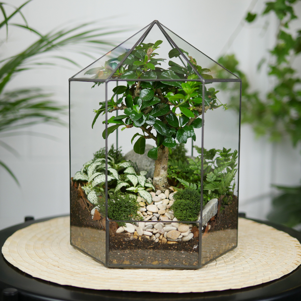 Флорариум бонсай Хижина