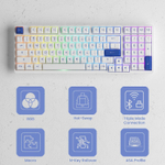 Игровая клавиатура AKKO 3098N (Blue&White/RGB/Hot-Swap/3 Modes, TTC Honey Switch)