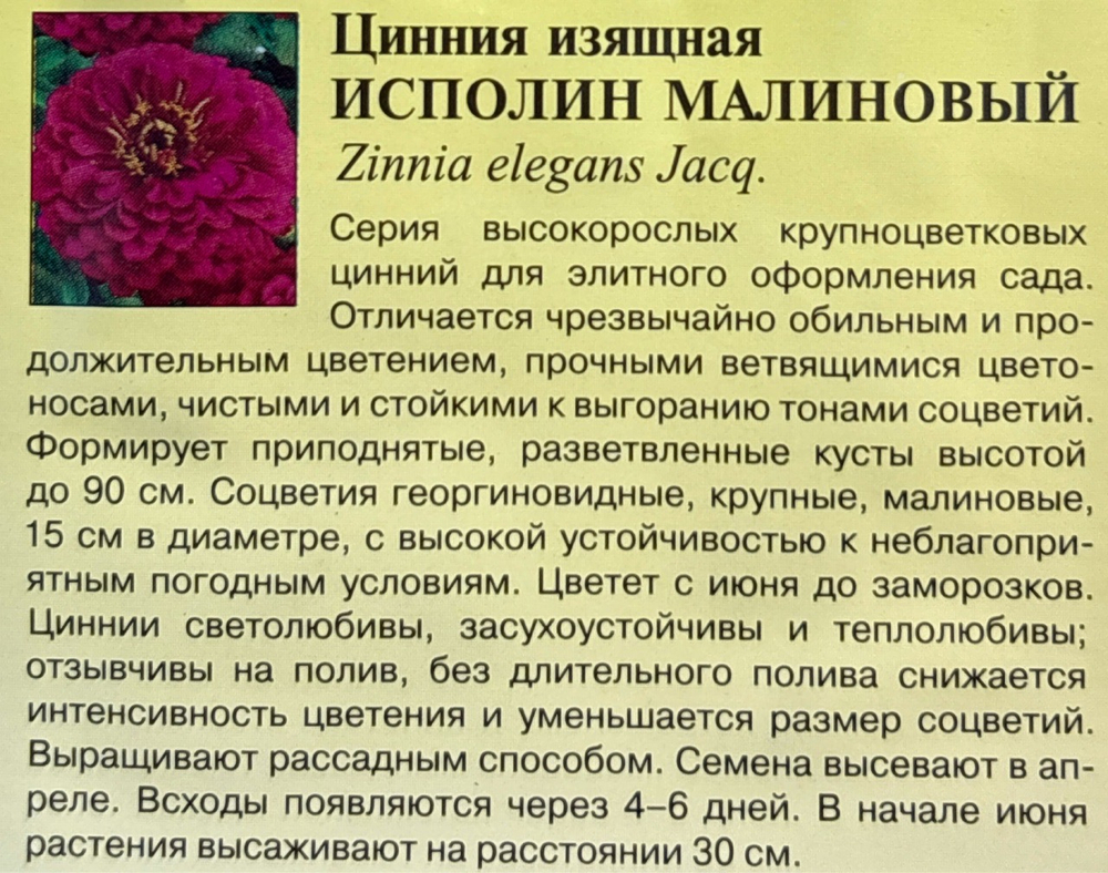 Цинния Исполин малиновый 0,3 г СМЦ-318