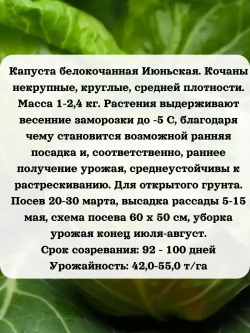 Семена капусты ранней набор 3 шт