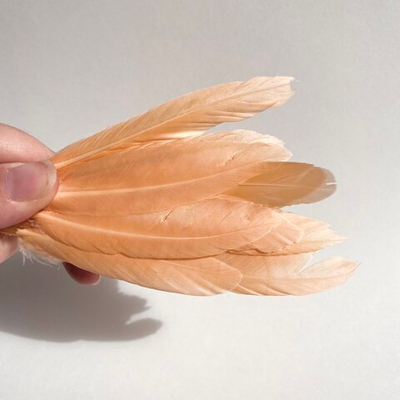 Перья утки персик мутант 2 сорт 15 шт.