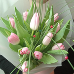 Букет розовых тюльпанов 11 шт. с берграсом в матовой пленке