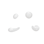 BECOS Лифтинг-гель для области вокруг глаз- LIFTING AND SMOOTHING EYE CONTOUR GEL ,20 мл