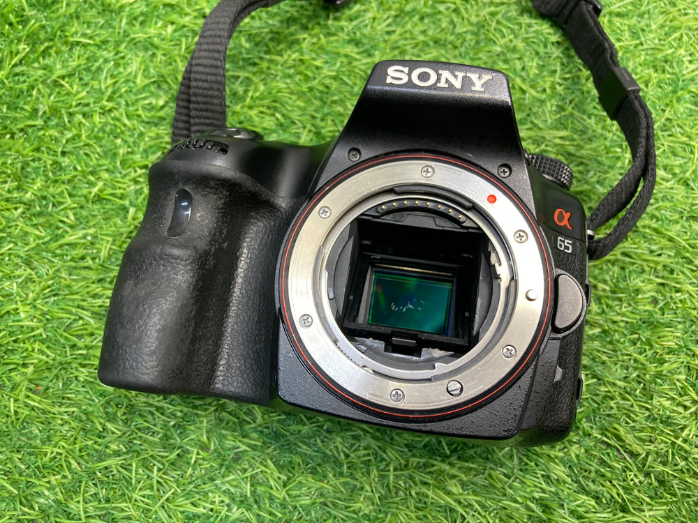 Sony A65 22.000 кадров