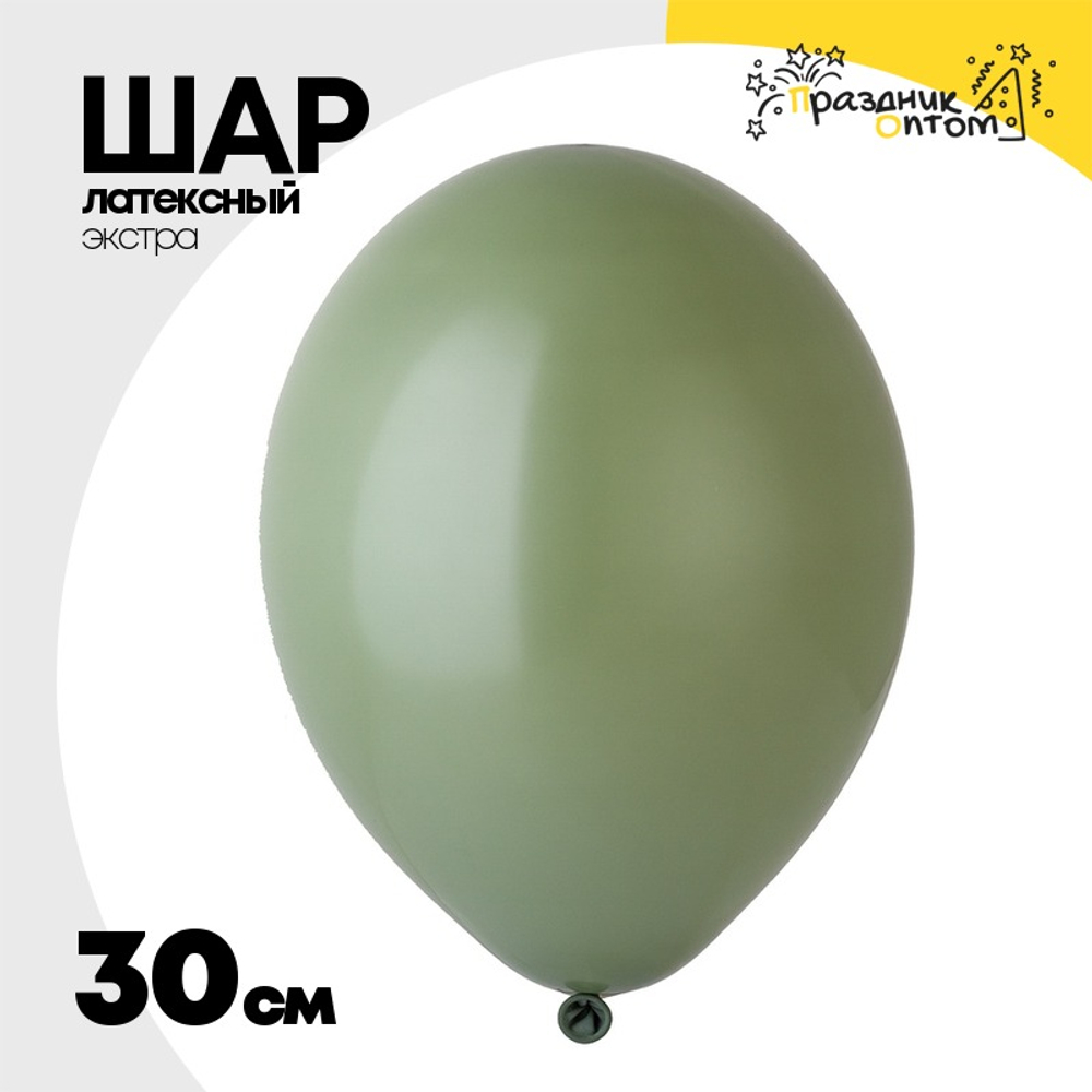 Шар латексный Экстра Пастель 30 см (Зеленый)