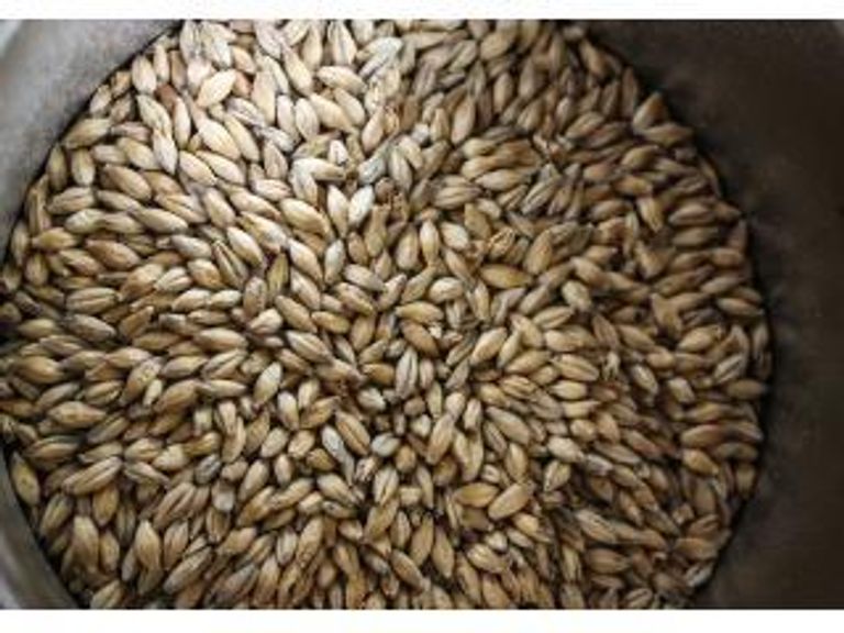 Ч2ДП2Е - Варка пшеничного пива на домашней пивоварне "НахБир"