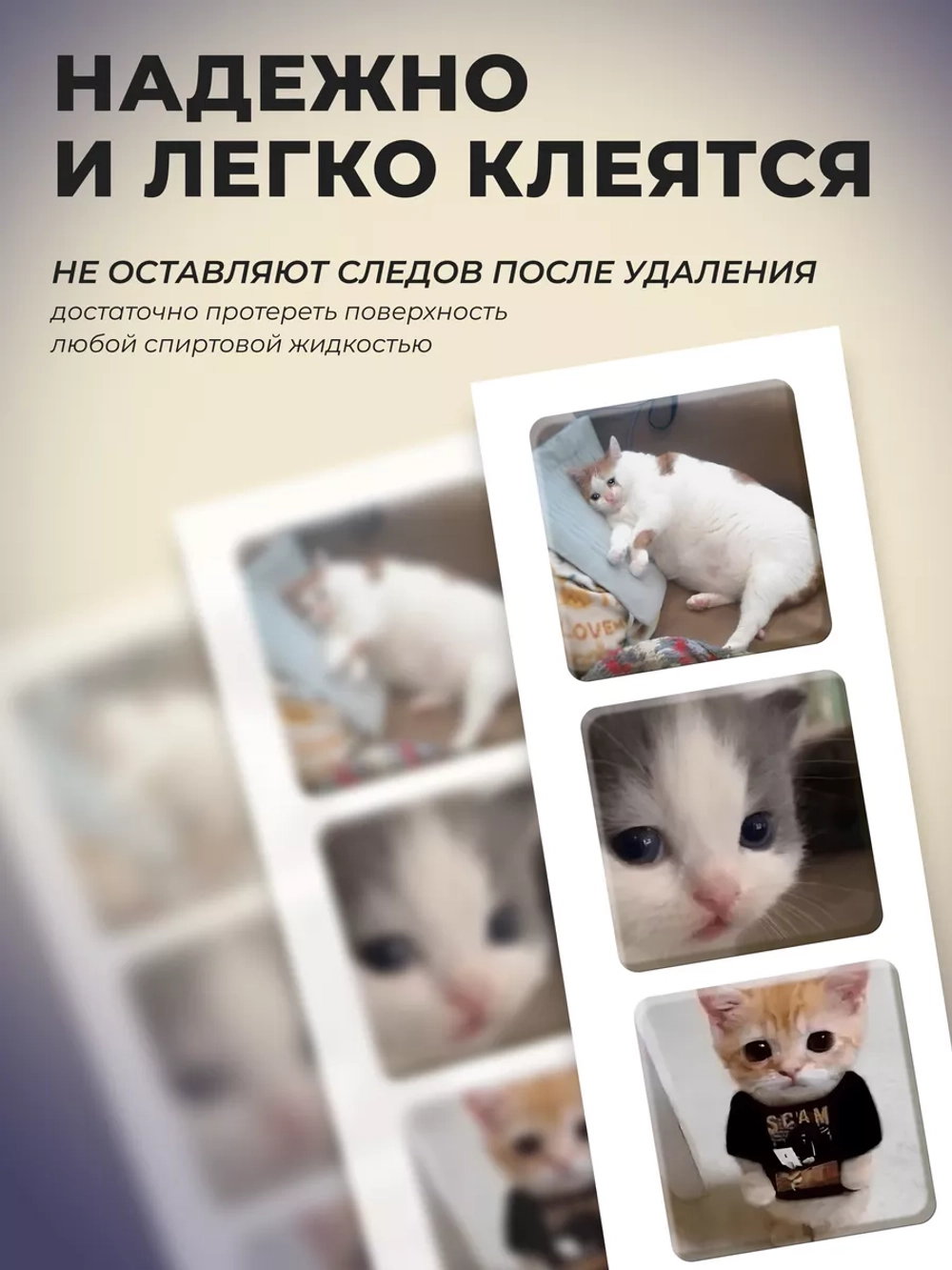 3д стикеры на телефон и чехол мемные котики