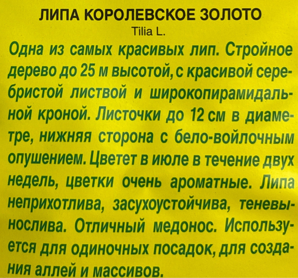 Липа пушистая Королевское золото СМЦ-662