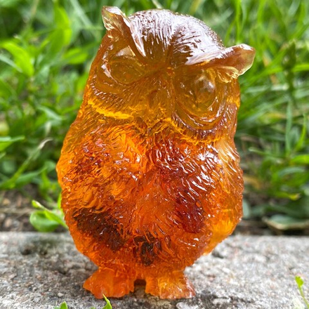 Сова подсматривает