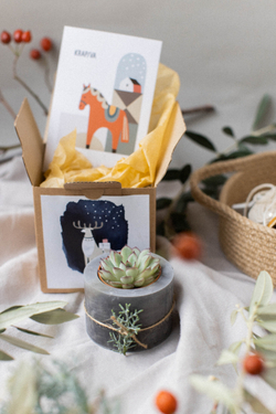 Новогодний набор с суккулентом № 7