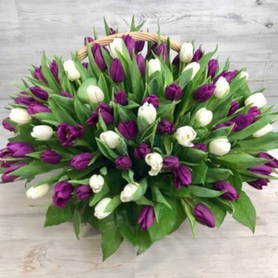 Корзина из 101 тюльпана микс
