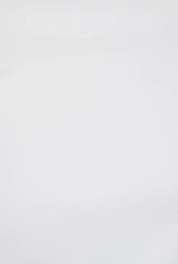 САВАШ Плинтус 2070, 1 шт.