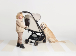 Детская прогулочная коляска Anex Air-X2 Shiro