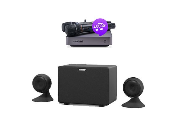 Комплект караоке Evolution Evobox Plus [Graphite] + стереосистема EvoSound Sphere + годовая подписка на обновления