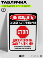 Табличка "Не входить, собака на территории" на дверь и забор, для двора, дома, подъезда, 40х30 см, Silver Plane x Айдентика Технолоджи