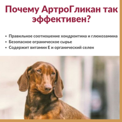 Кормовая добавка, хондропротектор нового поколения, улучшающая состояние печени и сердца у кошек, собак, крыс и хорьков АртроГликан (Биоцентр), 300таблеток