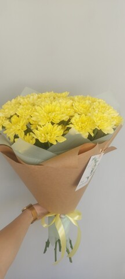 Солнечный свет