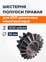 TA-041- Xingta-RY (2)