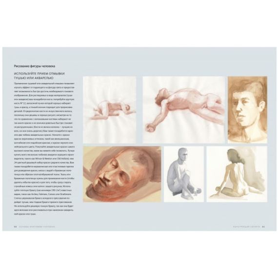 Основы анатомии человека. Наглядное руководство для художников