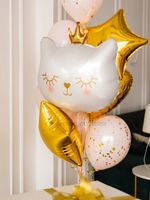 Воздушные шары №5312